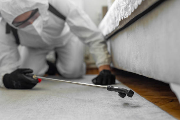 Professional Mosquito Control technician working in Dinuba, CA