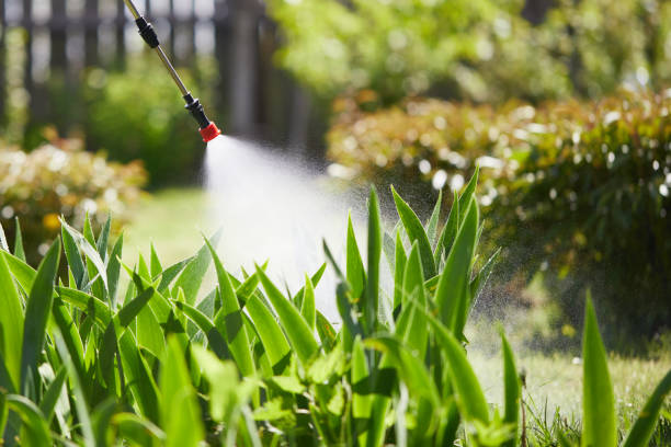 24/7 Emergency Mosquito Control experts in Dinuba, CA