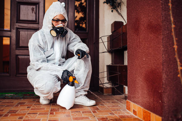 Reliable Mosquito Control contractor in Dinuba, CA by Nex Pest Control